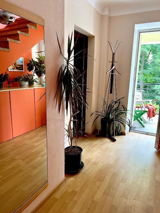 Studio Apartment And Free Airport Transfer Riga Luaran gambar